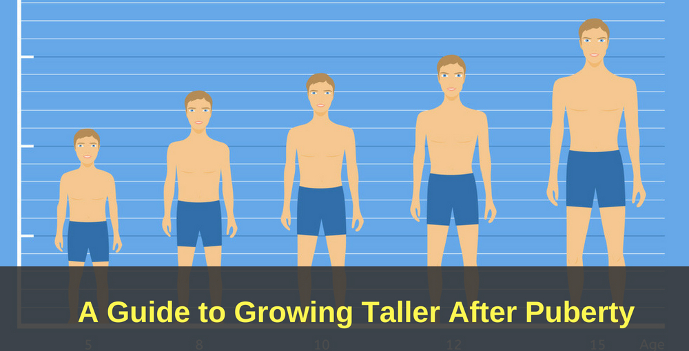 How To Grow Taller After Puberty Grow Tall After Ages 17 18 20